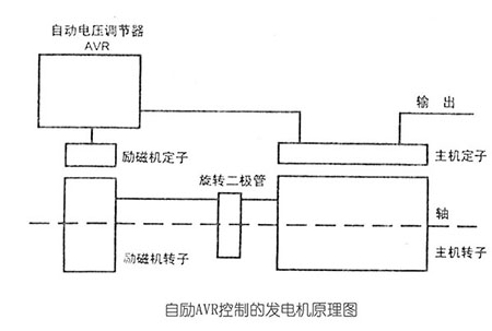 自勵AVR控制的發(fā)電機原理圖